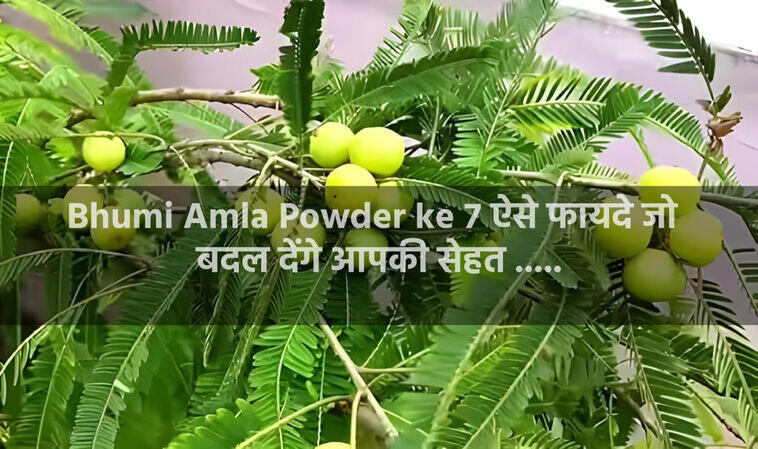 bhumi amla powder ke fayde